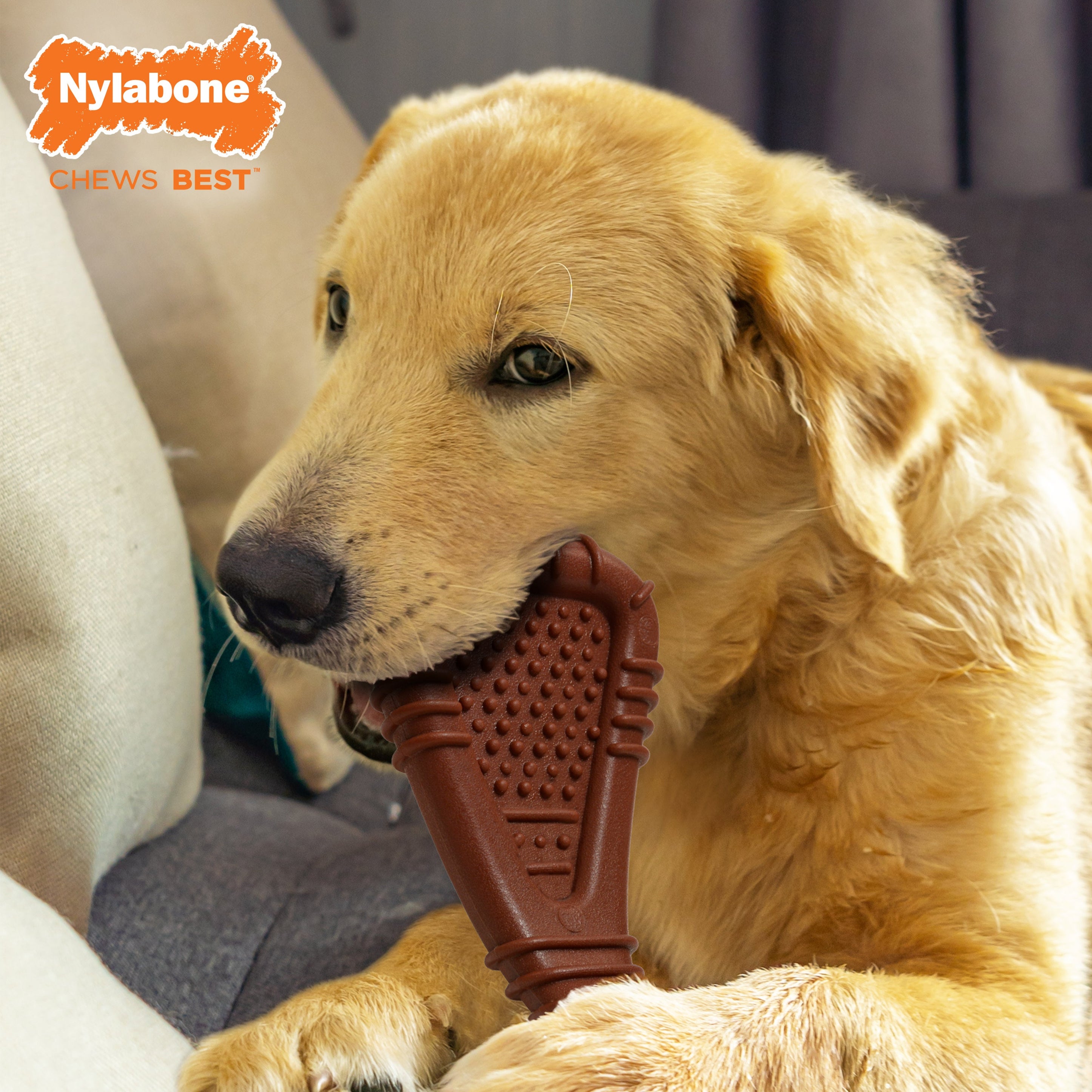 Nylabone Power Chew Arch Bone Dog Dental Chew Toy 1ea/Large/Giant Up To 50 Lbs. 1 ct