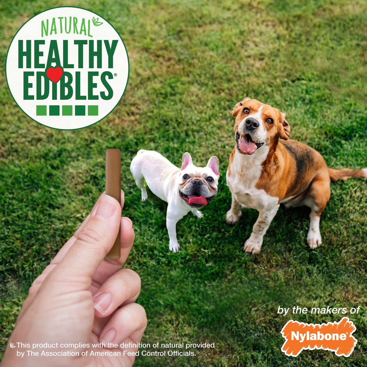 Nylabone Healthy Edibles Chewy Dog Treat Sticks Beef 1ea/12 oz