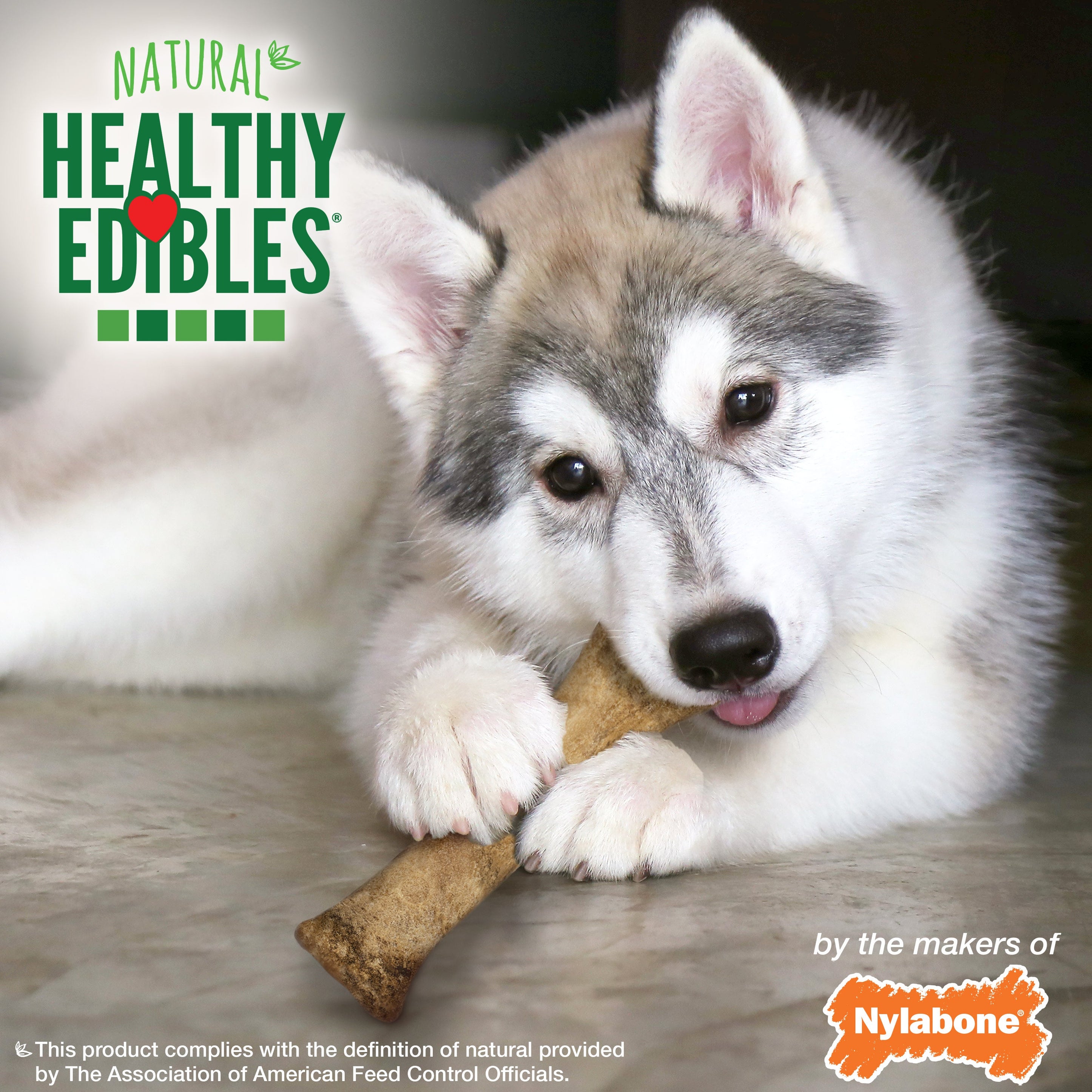 Nylabone Healthy Edibles AllNatural Long Lasting Puppy Chew Treats Lamb Apple, 1ea/XL/Souper 50 Lbs. 1 ct