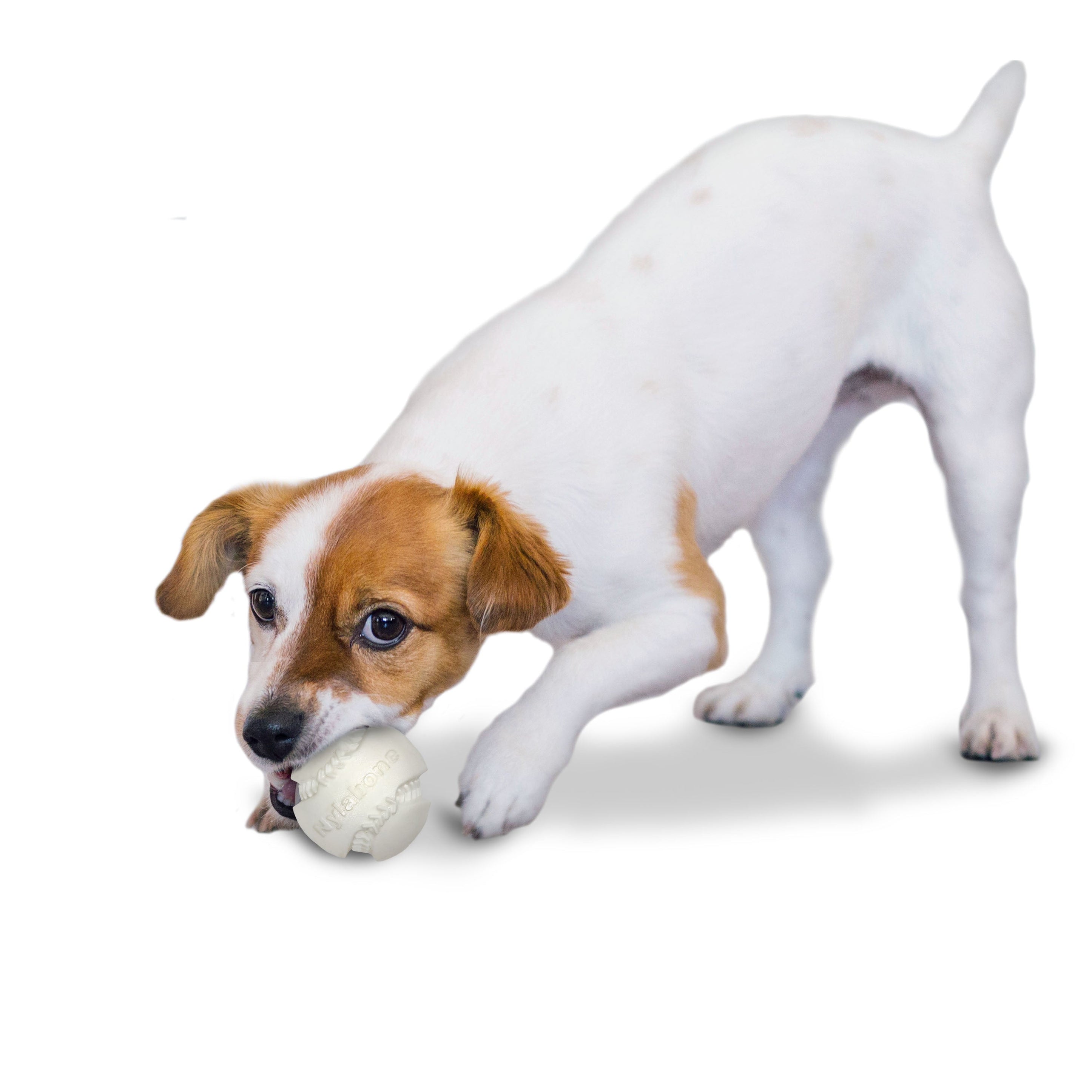 Nylabone Power Play Dog Baseball Gripz 1ea/Medium/Wolf Up To 35 Lbs. 1 ct