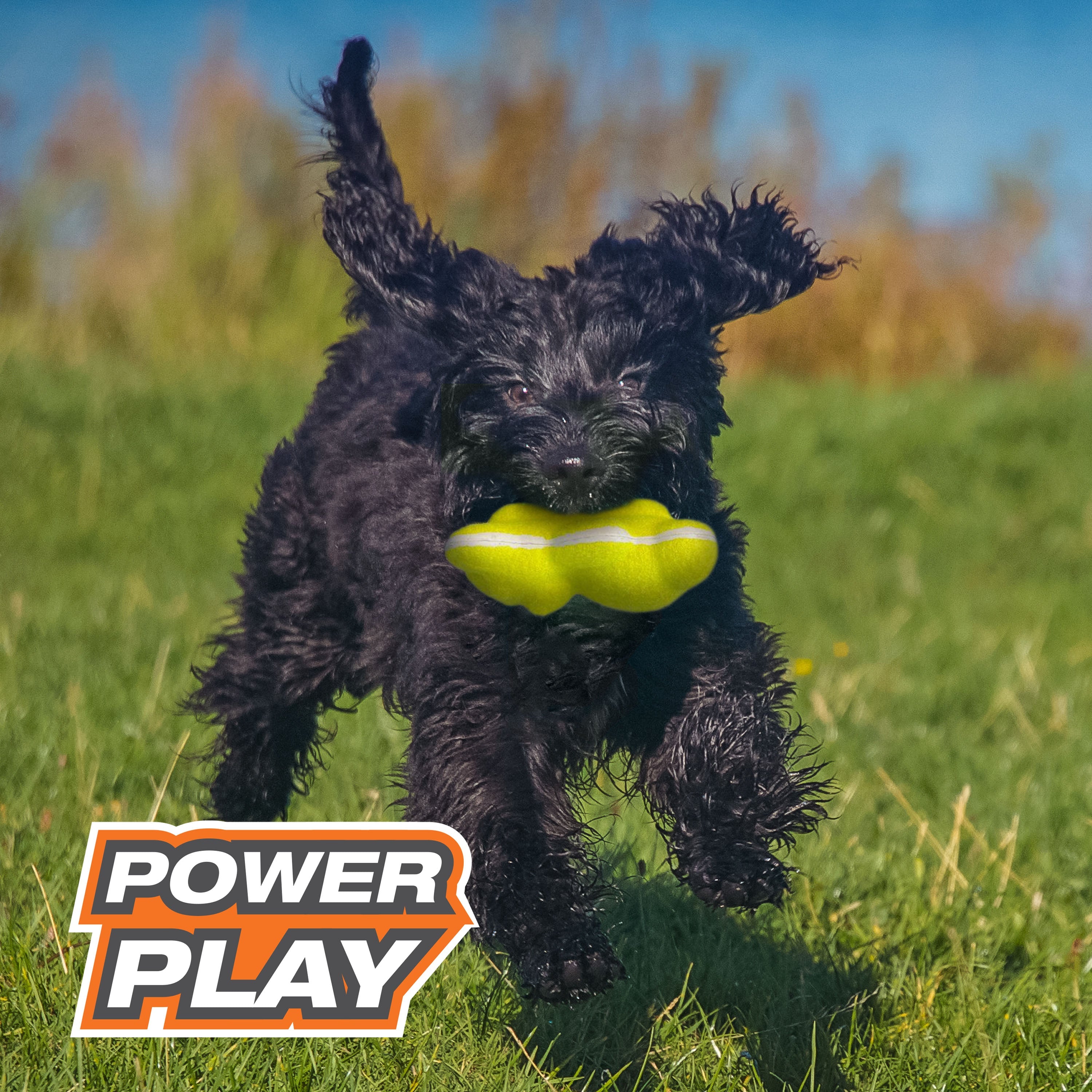 Nylabone Power Play Tennis Teddy Gripz Bear Dog Toy 1ea/Medium/Wolf Up To 35 Lbs. 1 ct