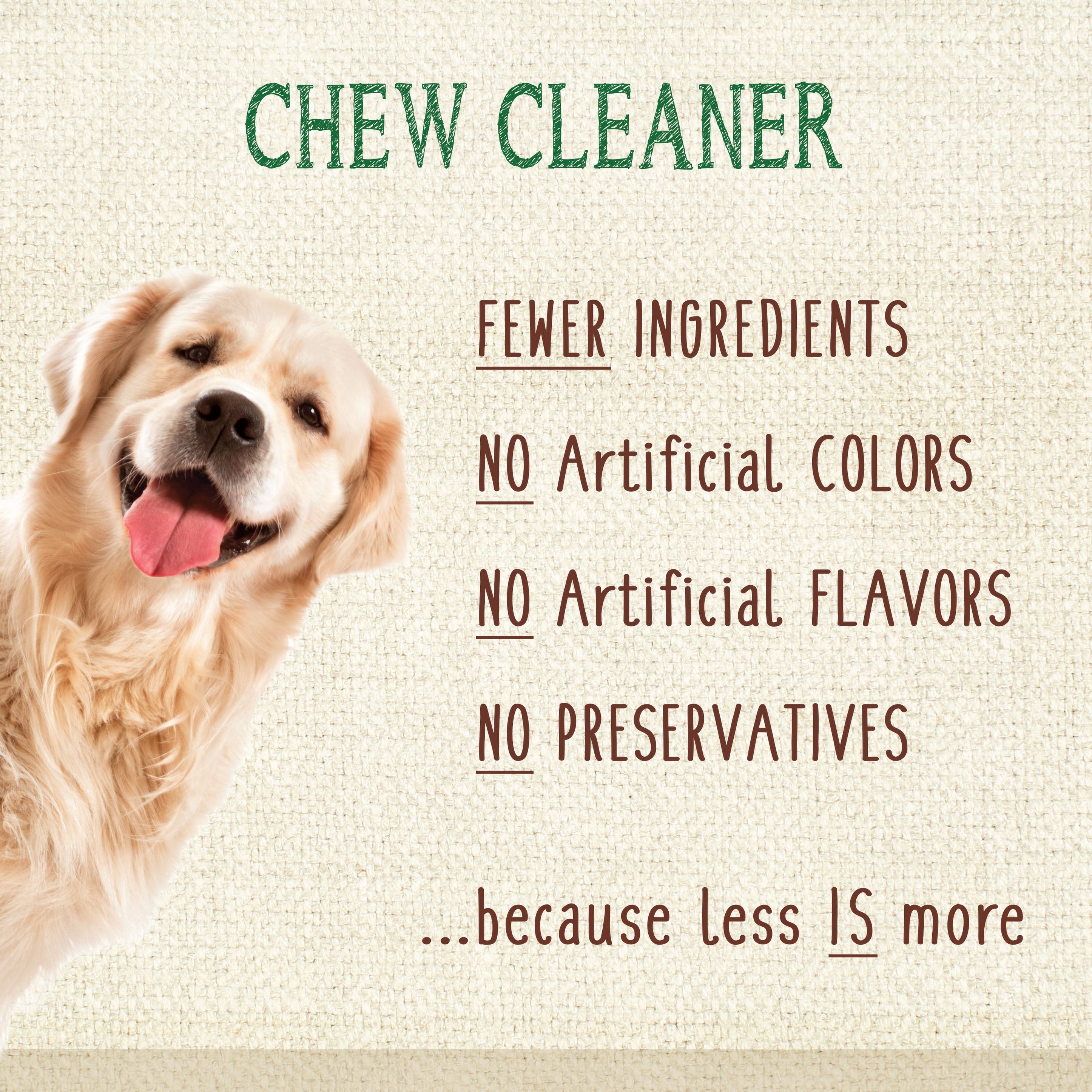 Nylabone Nutri Dent Filet Mignon Dog Dental Chews Filet Mignon, 1ea/XL/Souper 50 Lbs. 1 ct