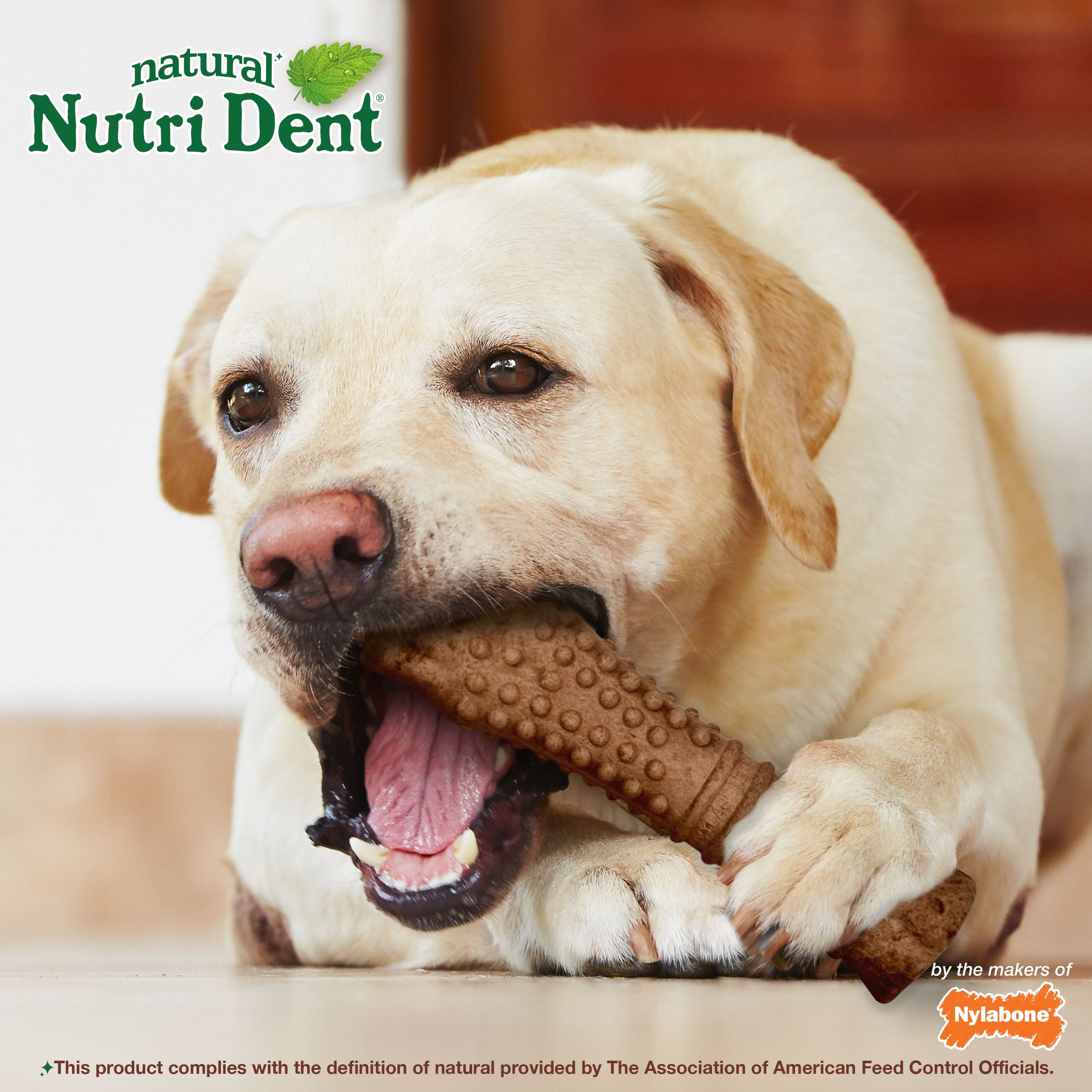 Nylabone Nutri Dent Filet Mignon Dog Dental Chews Filet Mignon, 1ea/XL/Souper 50 Lbs. 1 ct