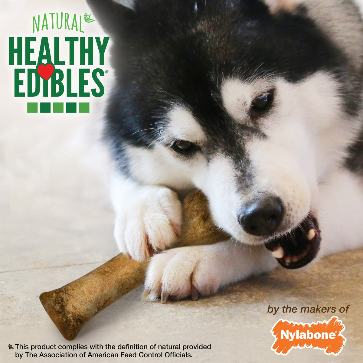 Nylabone Healthy Edibles AllNatural Long Lasting Roast Beef Dog Chew Treats Roast Beef, XL/Souper 50 Lbs. 2 ct