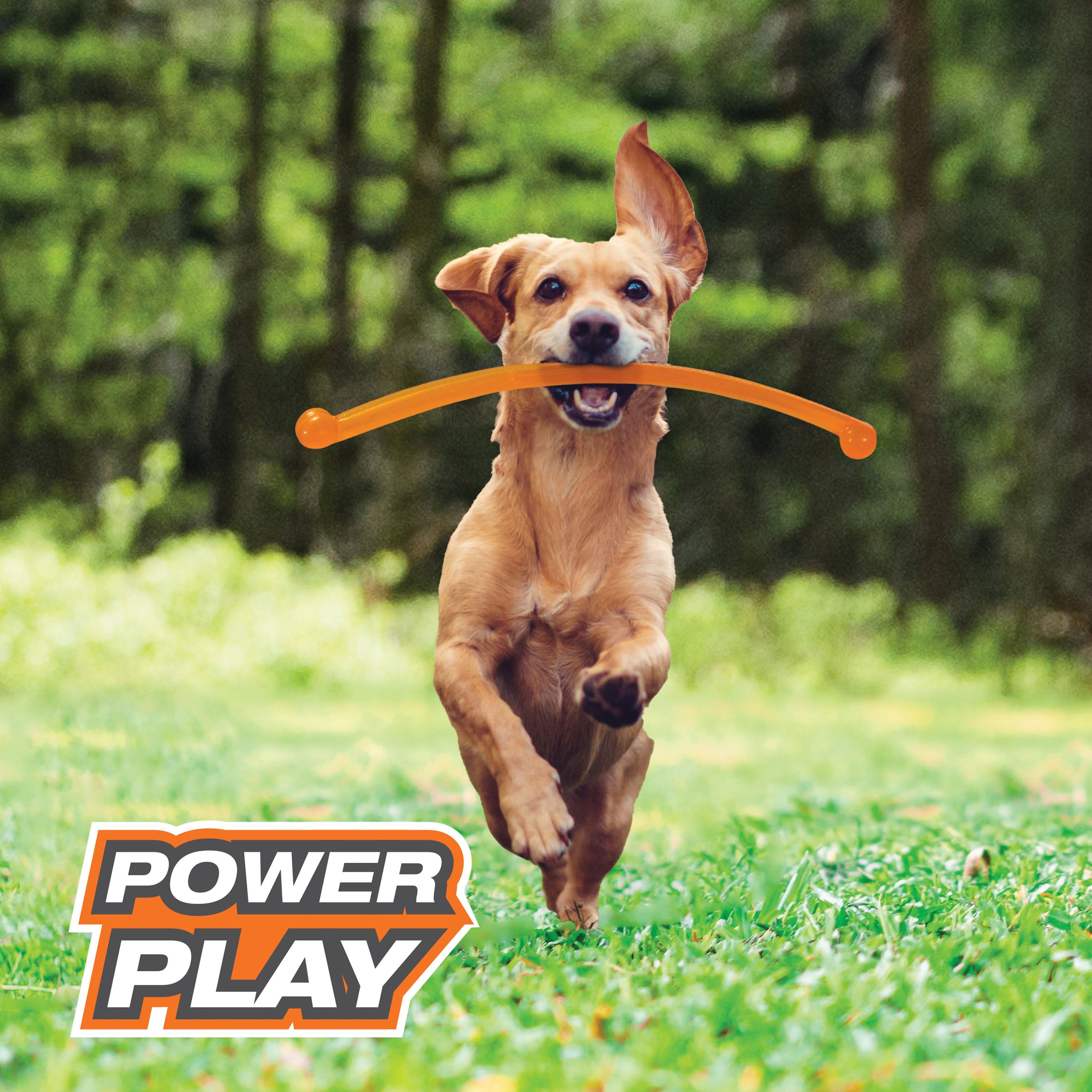 Nylabone Power Play Crazy Stick Dog Toy 1ea/1 ct