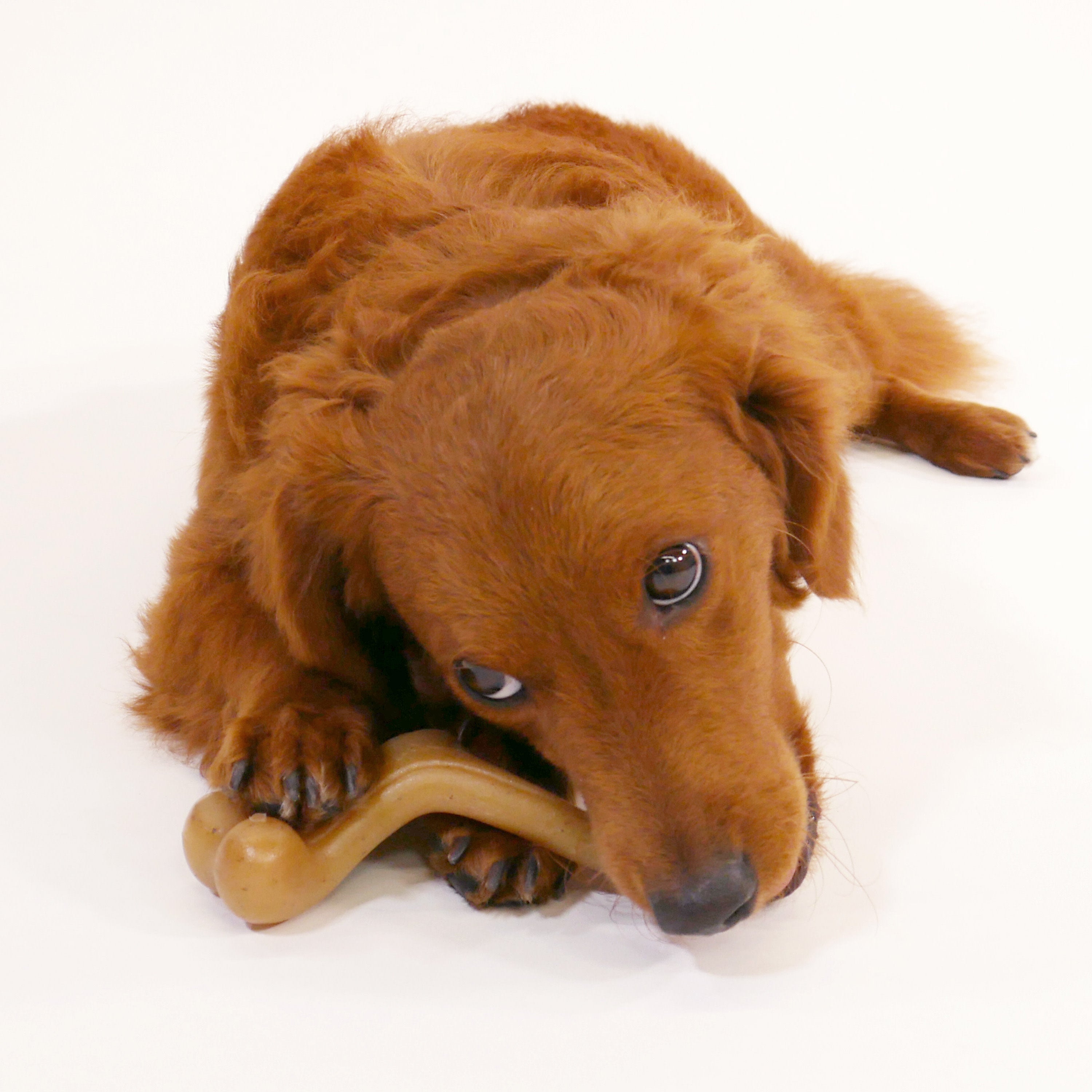 Nylabone Gourmet Style Strong Chew Wishbone Dog Chew Toy Chicken, 1ea/SMall/Regular Up To 25 Ibs. 1 ct