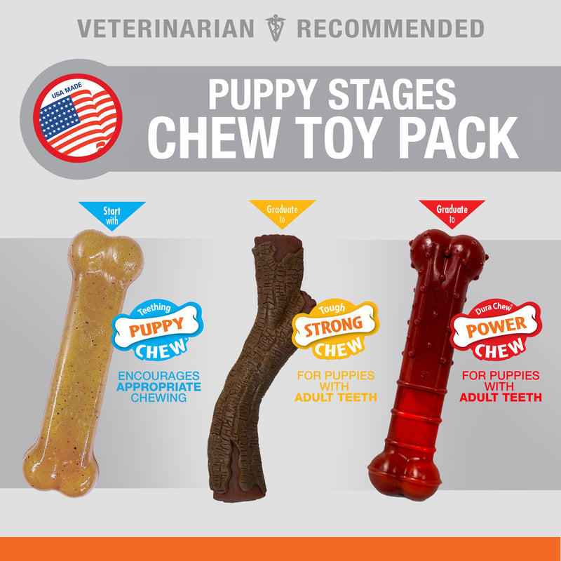 Nylabone Puppy Chew Stages Triple Pack Chewy Toys Chicken, Bacon, Beef Jerky, 1ea/Medium/Wolf Up To 35 Lbs. 3 ct
