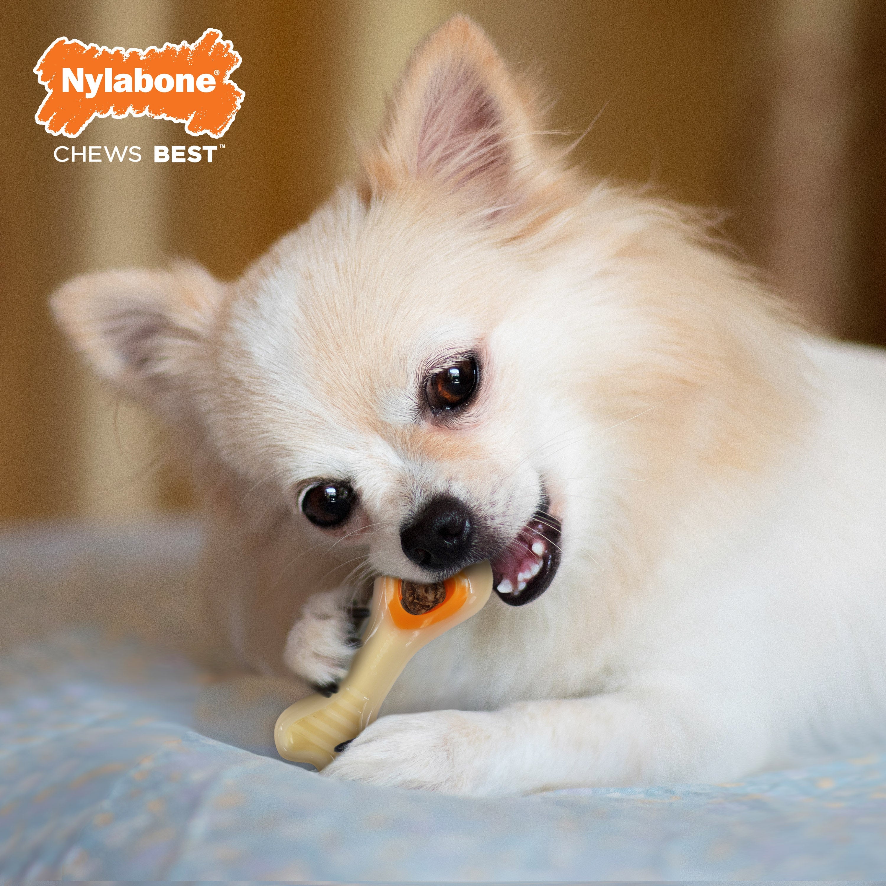 Nylabone Power Chew Souper Bone PopIn Treat Toy Combo Chicken, 1ea/XS/Petite Up To 15 Lbs. 1 ct