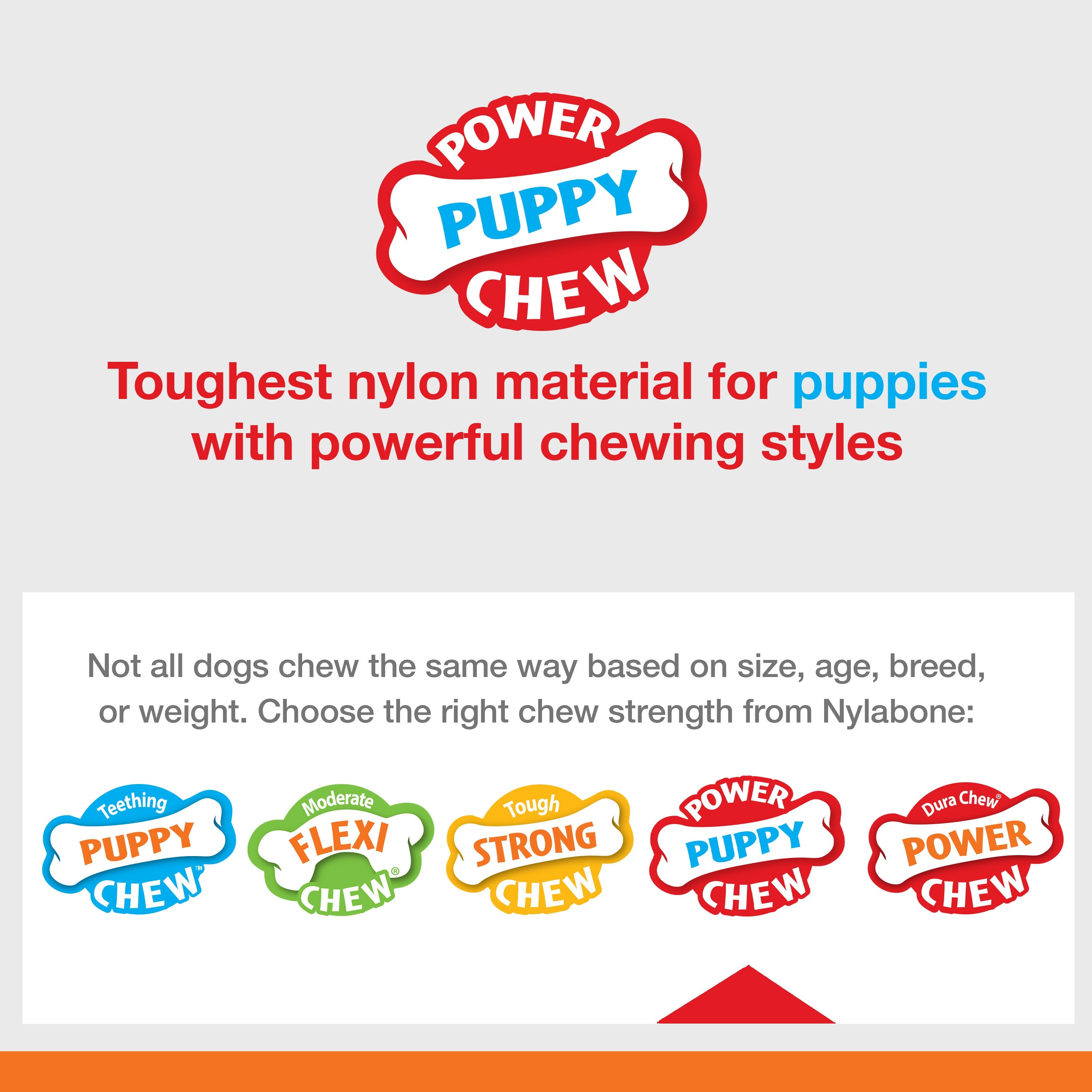 Nylabone Puppy Power Chew Souper Bone PopIn Puppy Treat Toy Combo Chicken, 1ea/Medium/Wolf Up To 35 Lbs. 1 ct