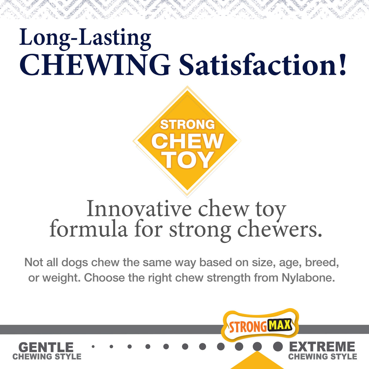 Nylabone Gourmet Style Strong Chew Dog Toy Display 1ea/4-Tier