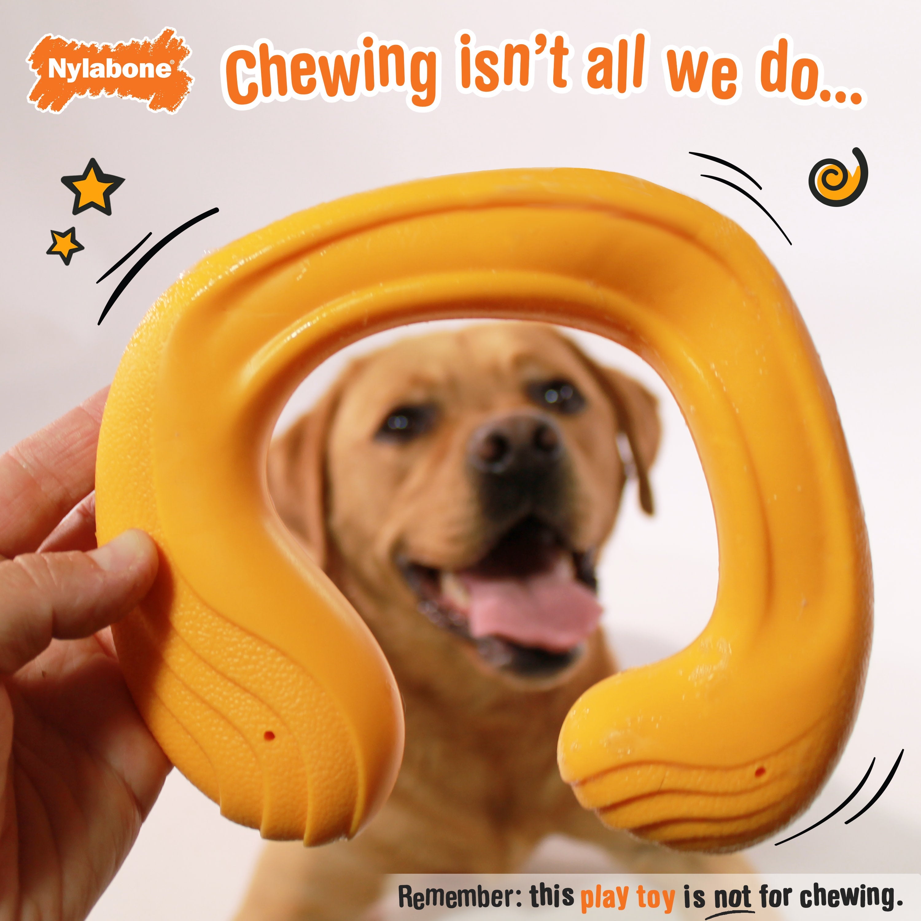 Nylabone Creative Play CShuu Dog Chase Toy Orange, 1ea/Large/Giant Up To 50 Lbs. 1 ct