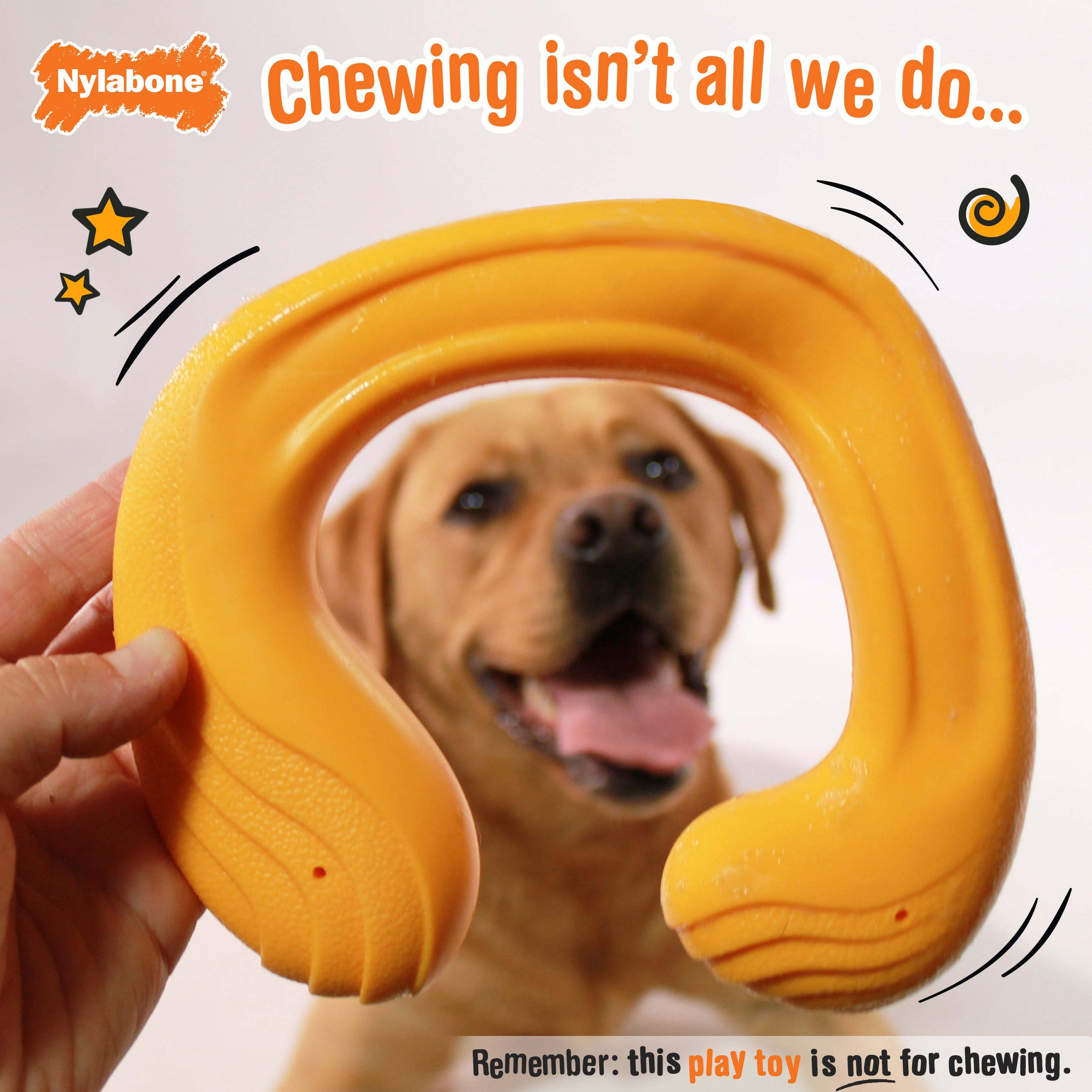 Nylabone Creative Play CShuu Dog Chase Toy Orange, 1ea/Large/Giant Up To 50 Lbs. 1 ct