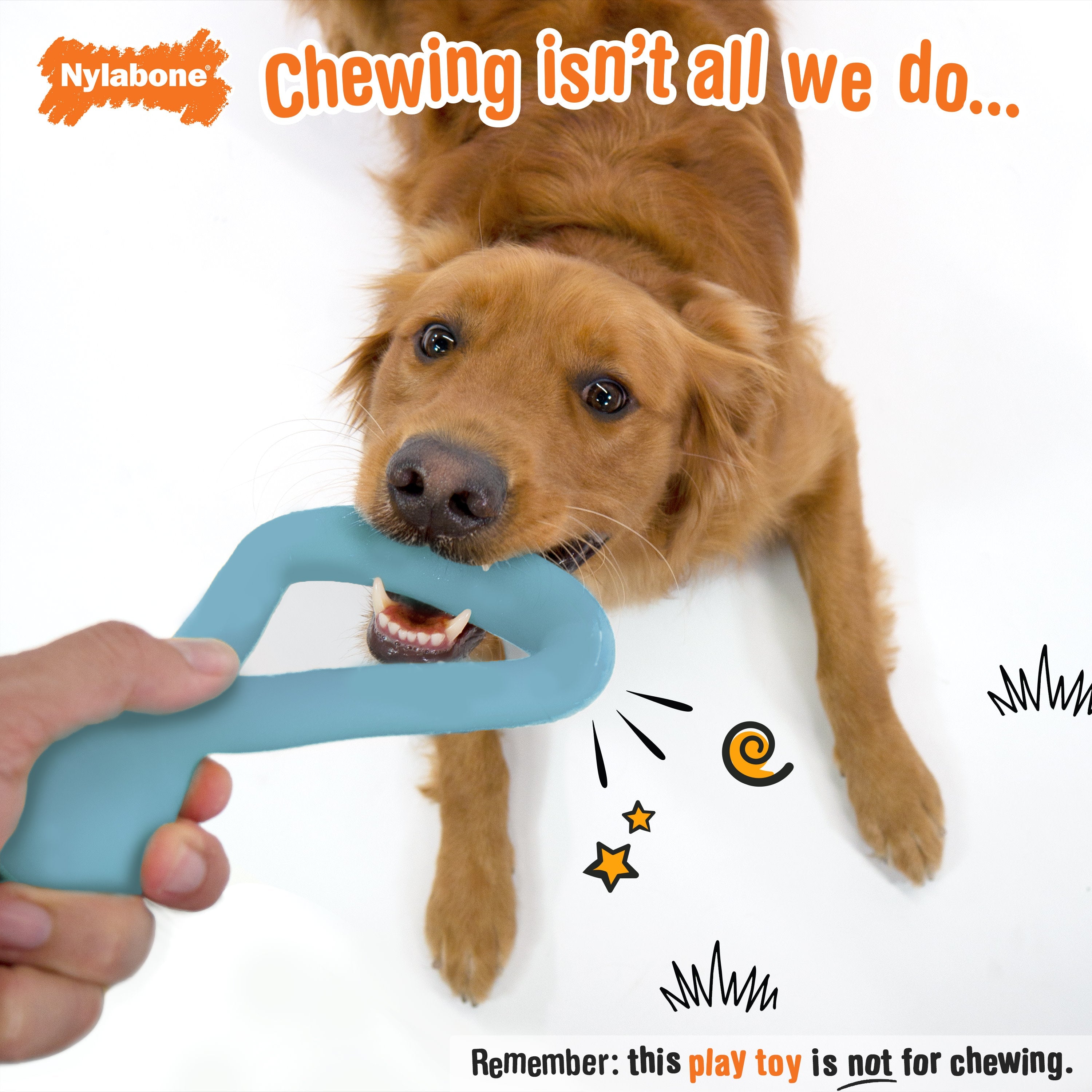 Nylabone Creative Play Tuug Dog Tug Toy Blue, 1ea/Large/Giant Up To 50 Lbs. 1 ct