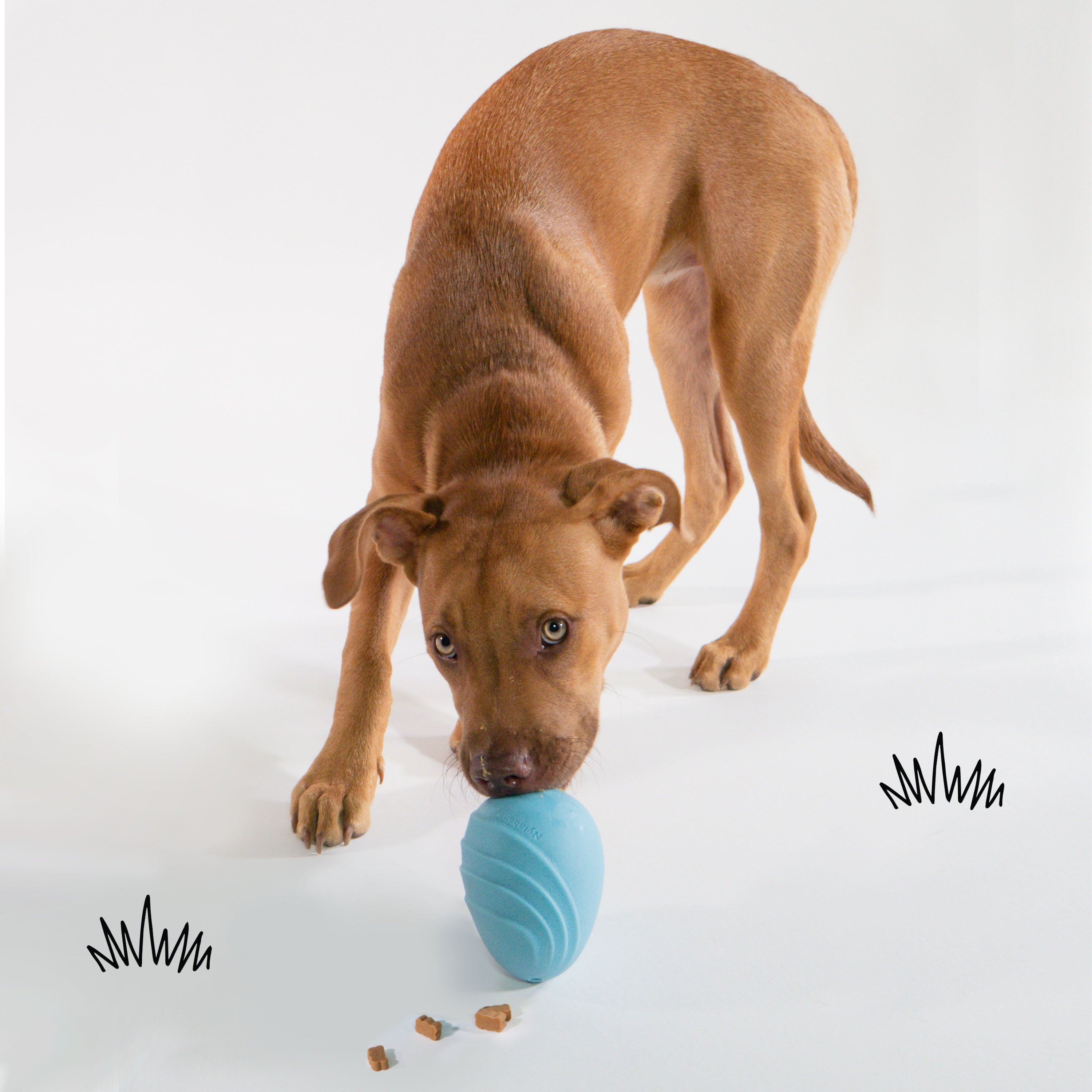 Nylabone Creative Play Eggi Dog Treat Toy Blue, 1ea/Large/Giant Up To 50 Lbs. 1 ct