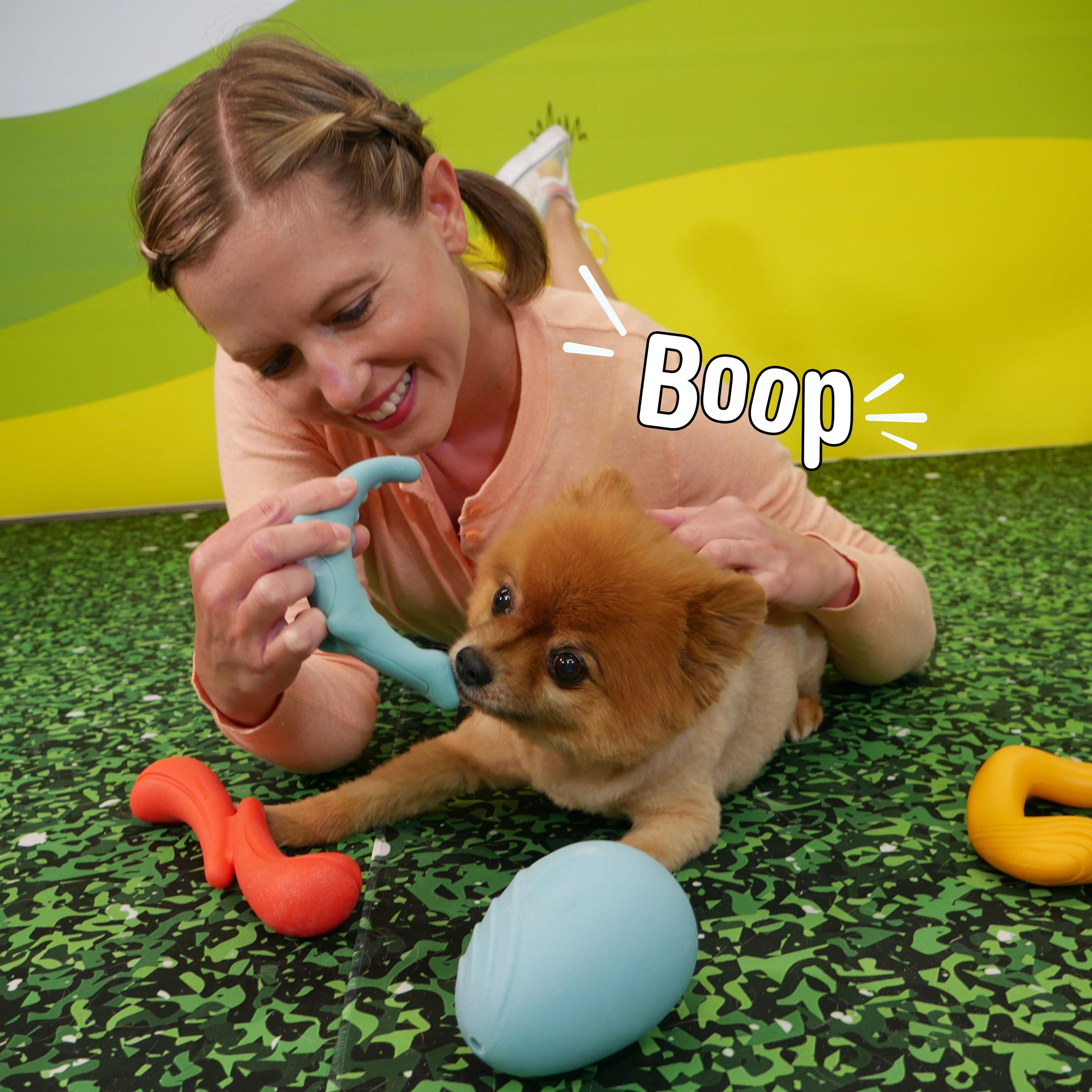 Nylabone Creative Play Rexii Interactive Dog Toy Blue, 1ea/SMall/Regular Up To 25 Ibs. 1 ct