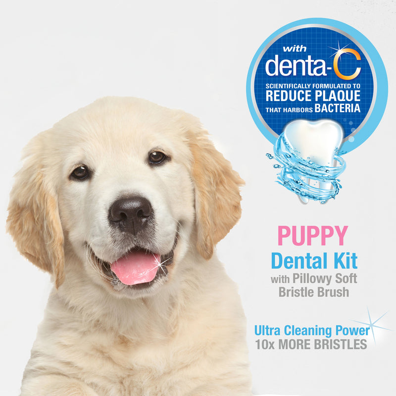 Nylabone Advanced Oral Care Puppy Dental Kit with Soft-Bristle Toothbrush