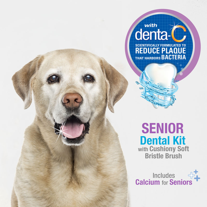 Nylabone Advanced Oral Care Senior Dog Dental Kit with Soft-Bristle Toothbrush