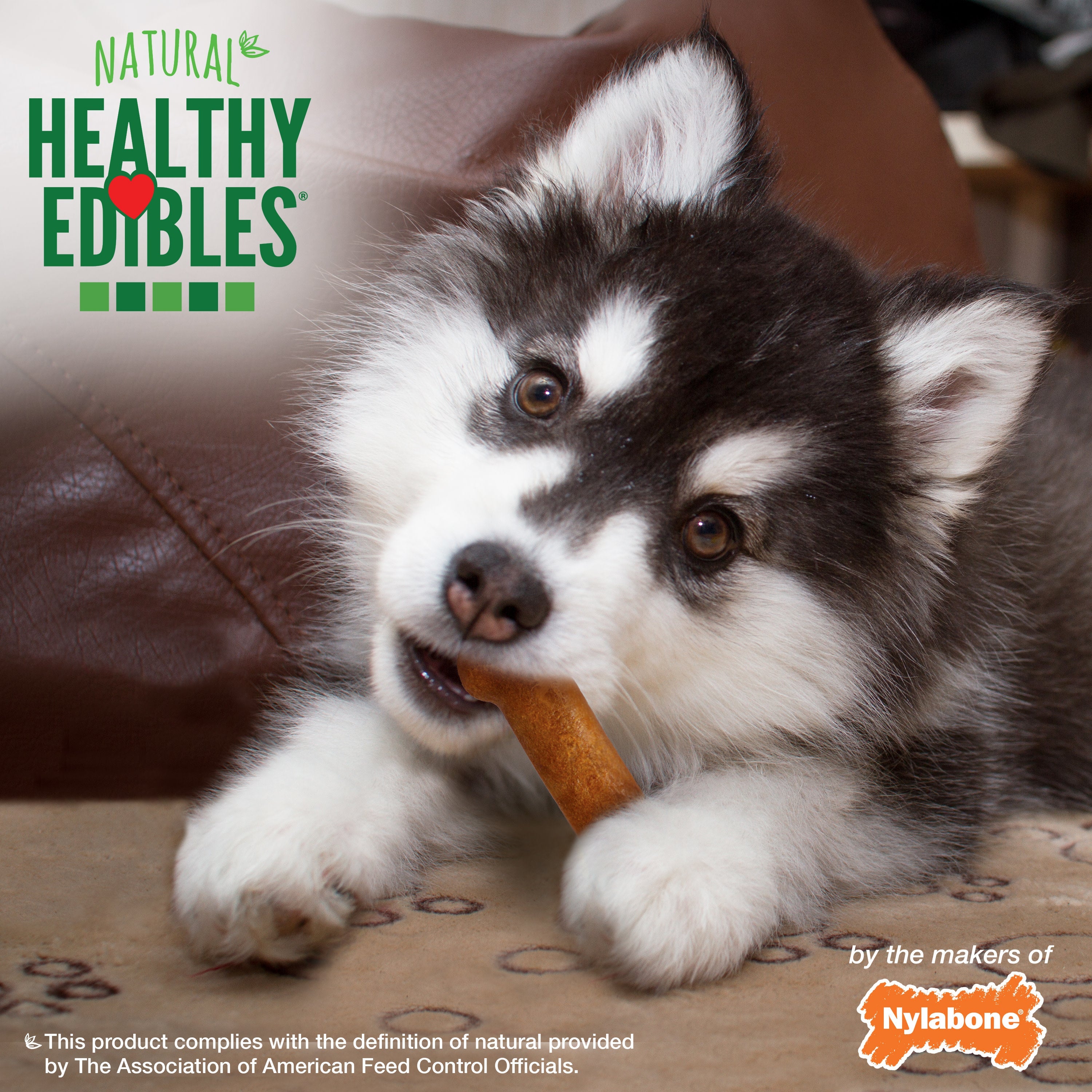 Nylabone Healthy Edibles AllNatural Long Lasting Puppy Chew Treats Turkey Sweet Potato, 1ea/SMall/Regular Up To 25 Ibs. 8 ct