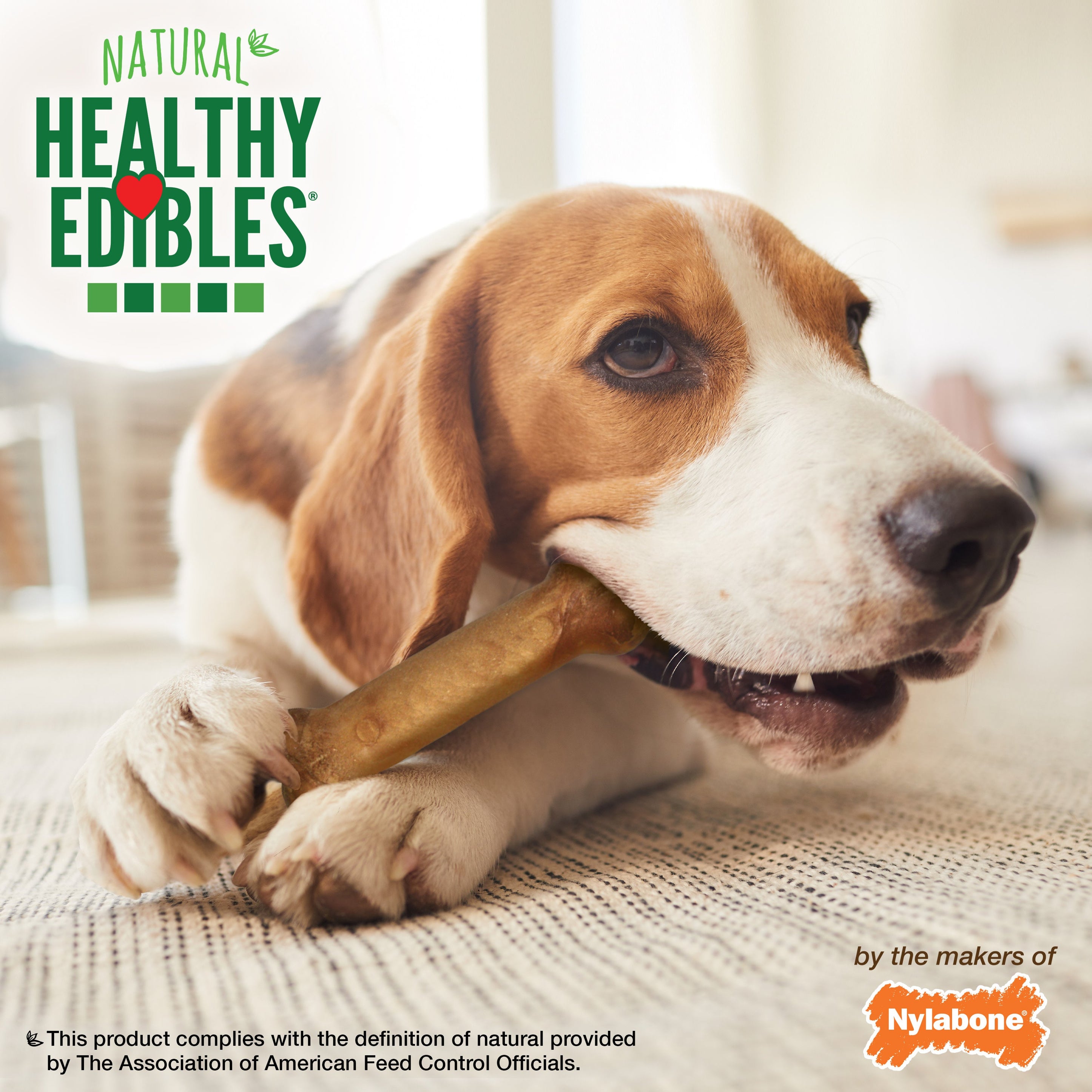 Nylabone Healthy Edibles AllNatural Long Lasting Bacon Chew Treats Bacon, Medium/Wolf Up To 35 Lbs. 7 ct