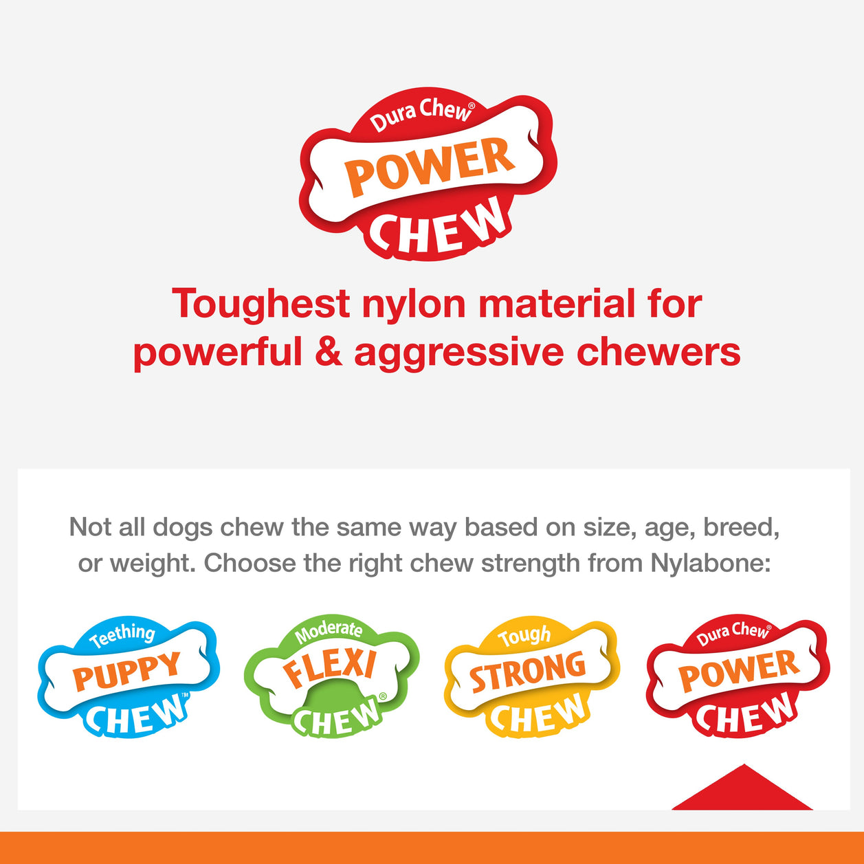 Nylabone Power Chew Broccoli Dog Toy Cheesy Bacon Large