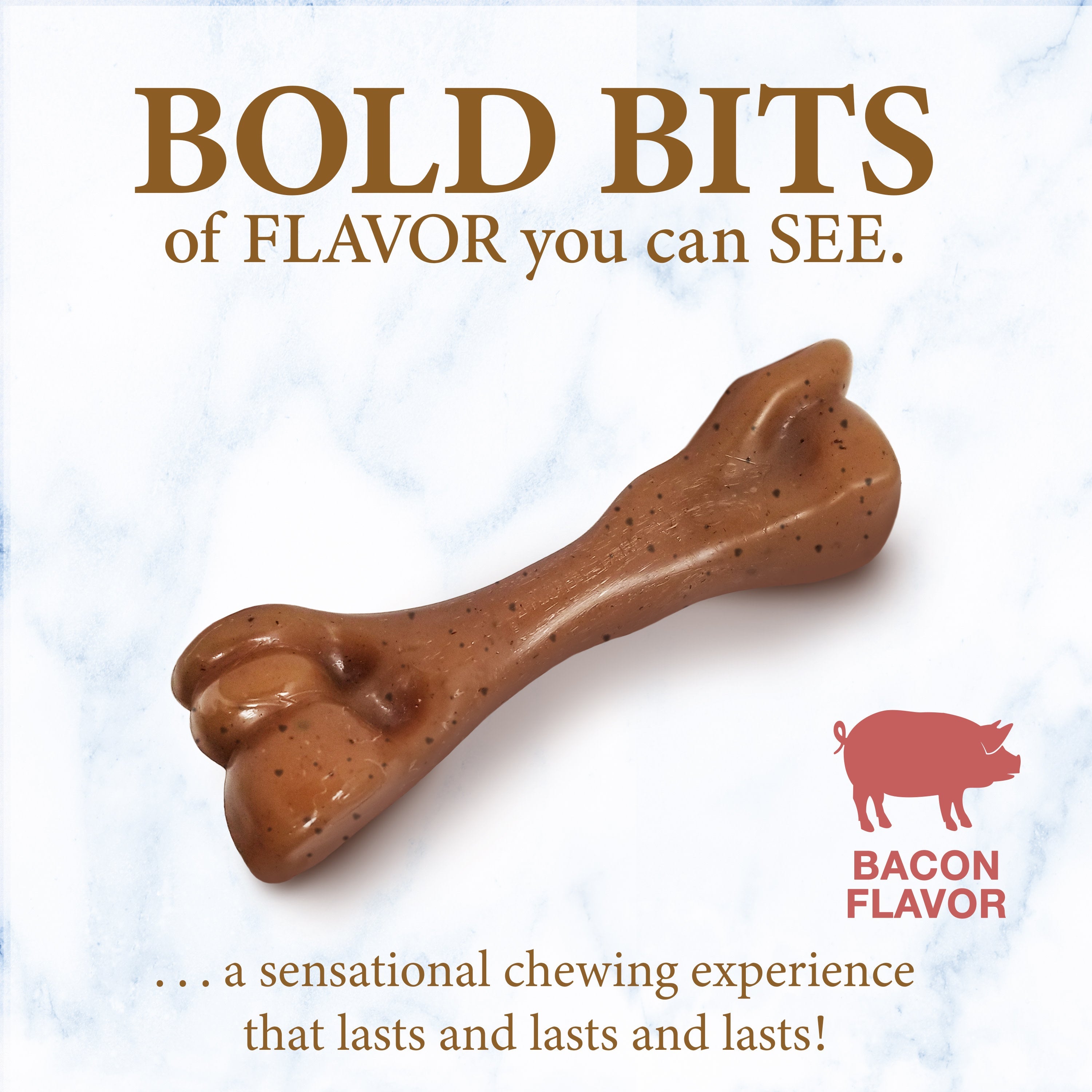 Nylabone Gourmet Style Strong Femur Puppy Chew Toy Bacon, 1ea/SMall/Regular Up To 25 Ibs. 1 ct