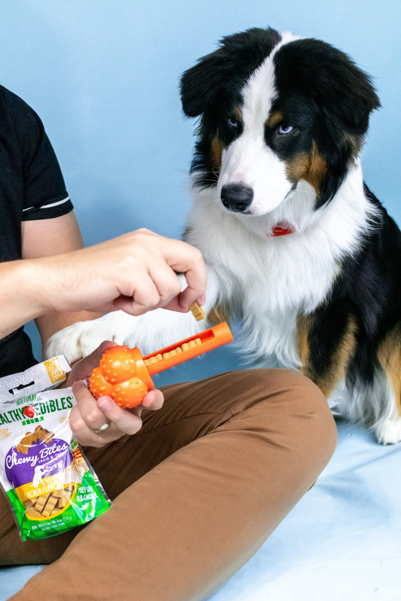 Nylabone Sneaky Snacker Dog Treat Toy Bacon, Orange, 1ea/Large/Giant Up To 50 Lbs. 1 ct