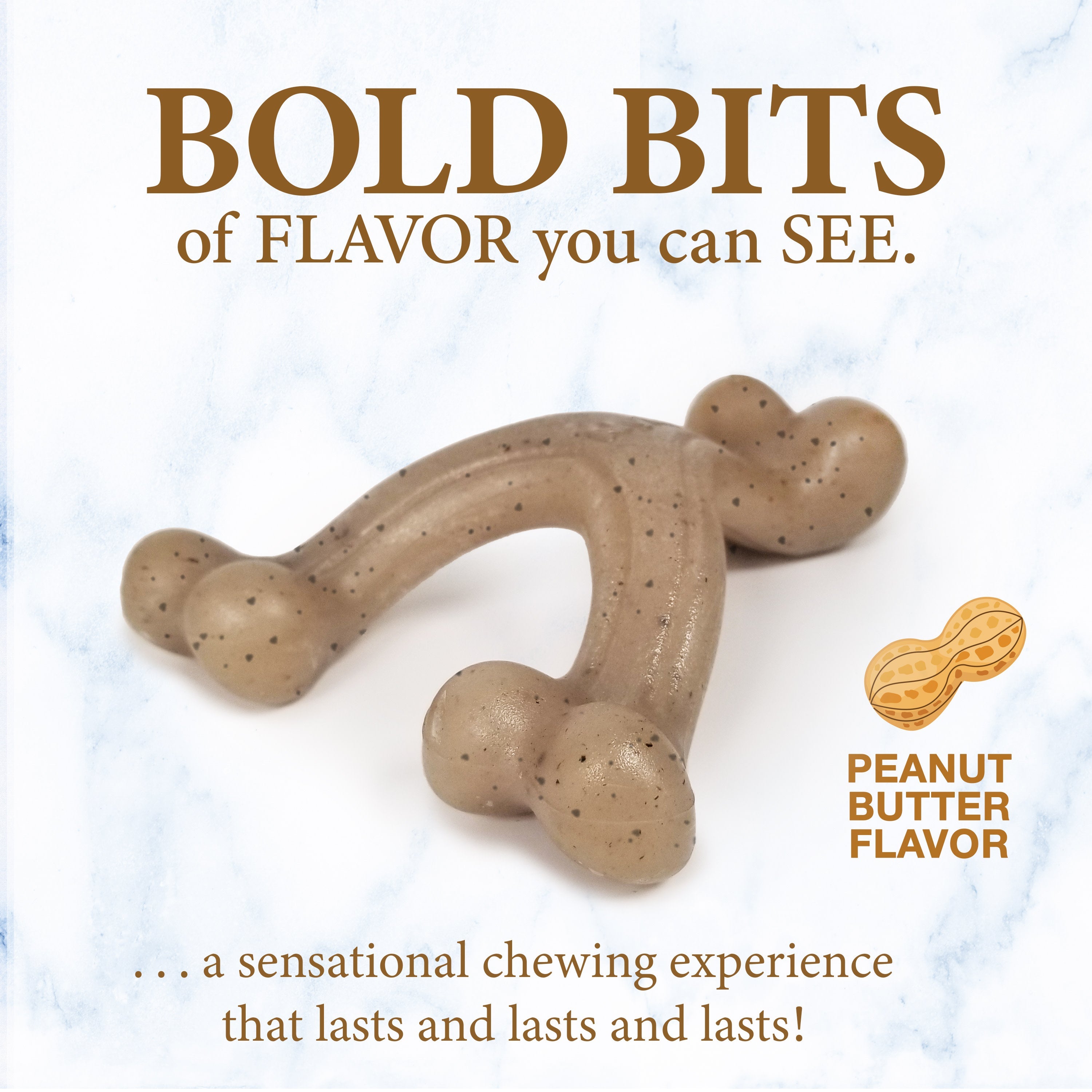 Nylabone Gourmet Style Strong Wishbone Puppy Chew Toy Peanut Butter, 1ea/SMall/Regular Up To 25 Ibs. 1 ct