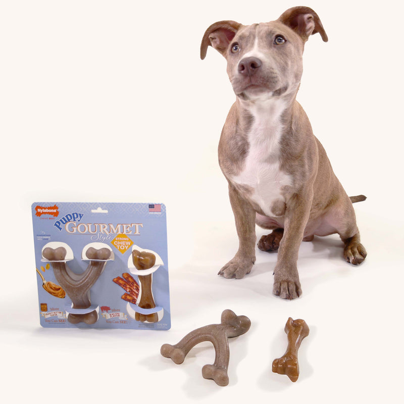 Nylabone Gourmet Style Puppy Chew Toy Twin Pack Peanut Butter Bacon, 1ea/SMall/Regular Up To 25 Ibs. 2 ct