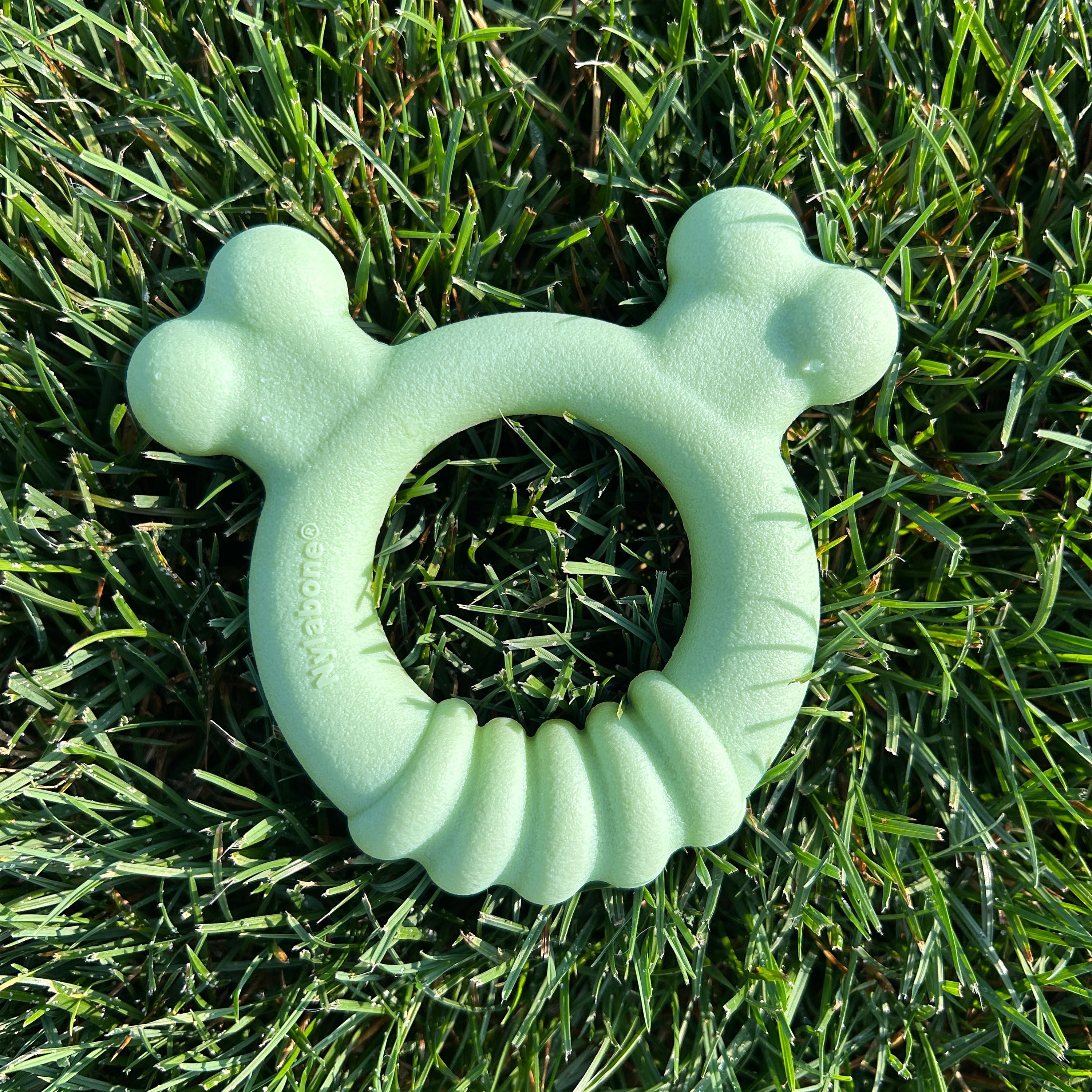 Nylabone Sensory Material Puppy Teething Ring Chicken, 1ea/SMall/Regular Up To 25 Ibs. 1 ct