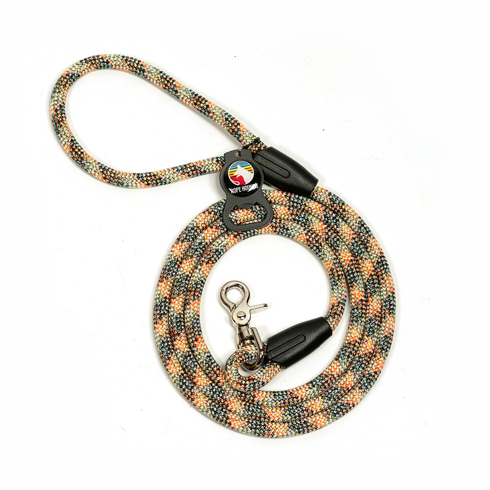 Classic Dog Leash - Multicolored