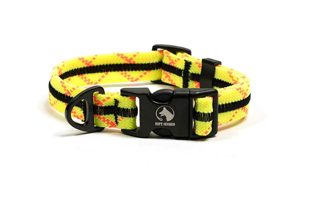 Adventure Dog Collar - Greens/Yellows