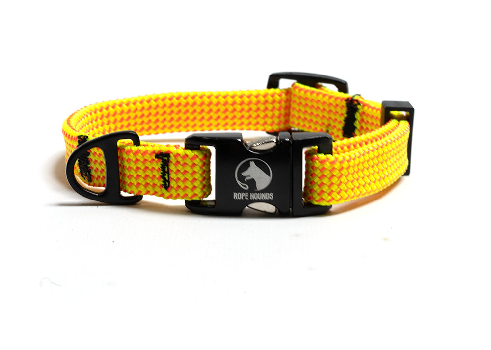 Narrow Adventure Collar