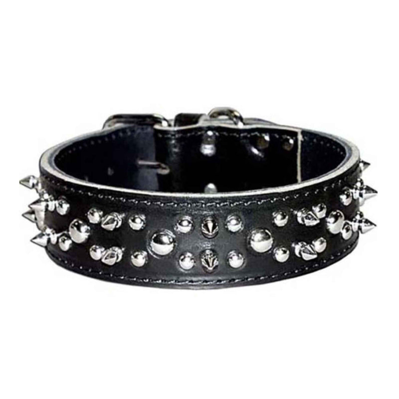 Omni Pet Latigo Leather Spike/Stud Dog Collar Black 1.75 x 22in.