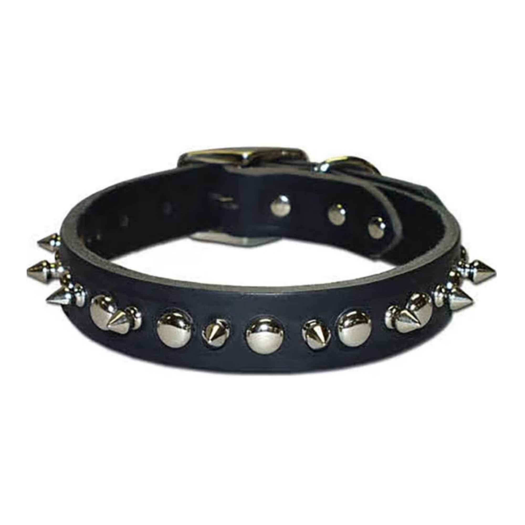Omni Pet Latigo Leather 1 Ply Spiked Dog Collar Black 1/2 x 14in.