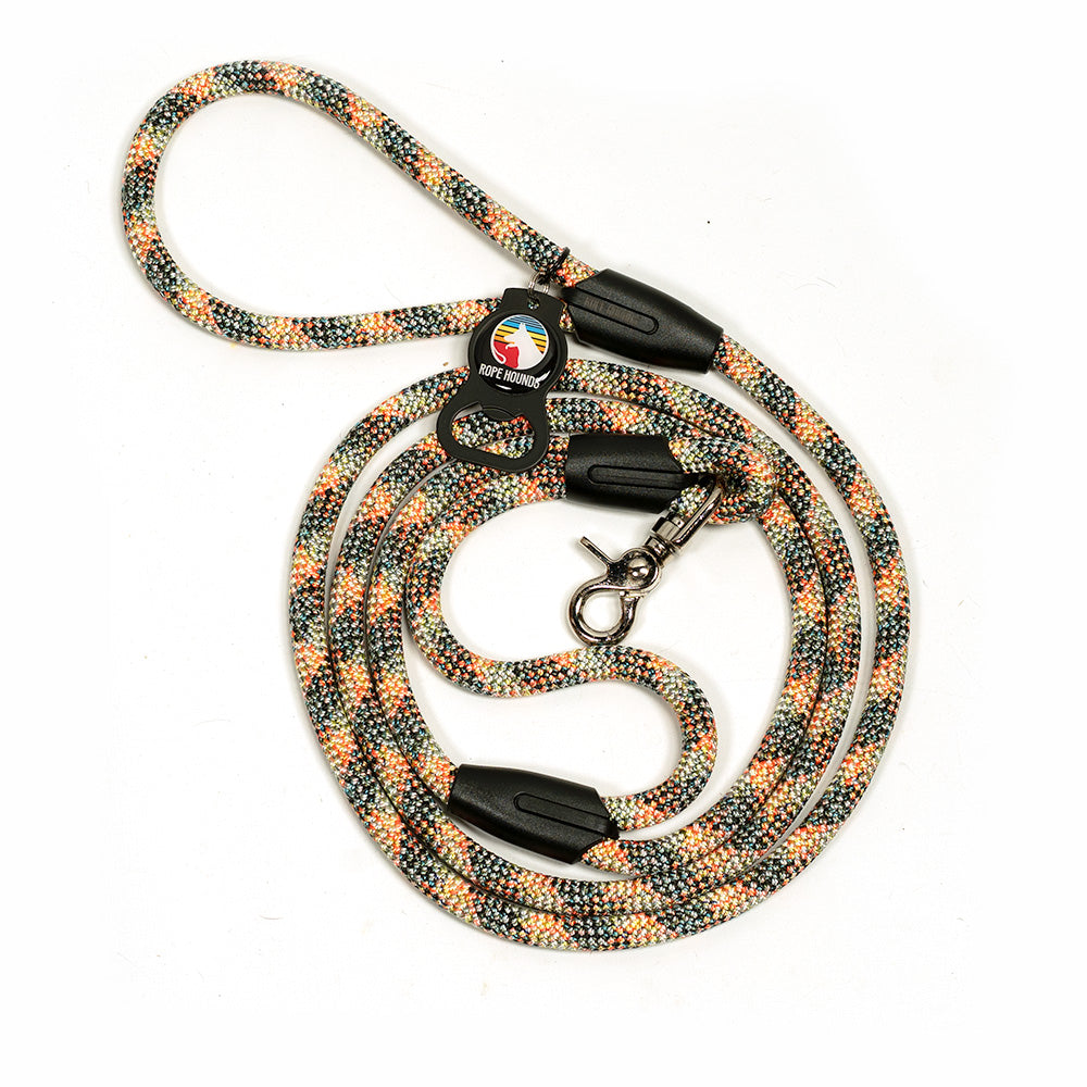 Urban Handle Dog Leash - Multicolored