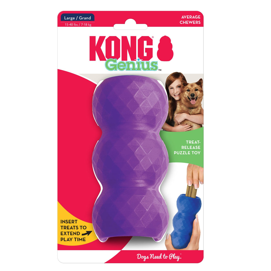 KONG Genius Mike Assorted Dog Toy Large