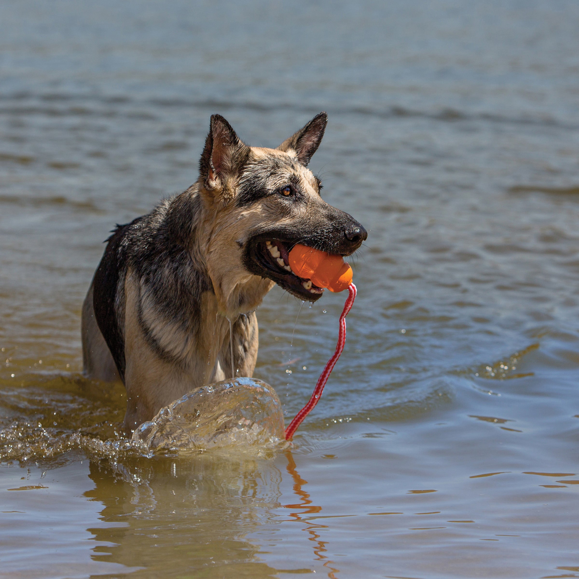 KONG Aqua Floating Retriever with Rope Orange Large