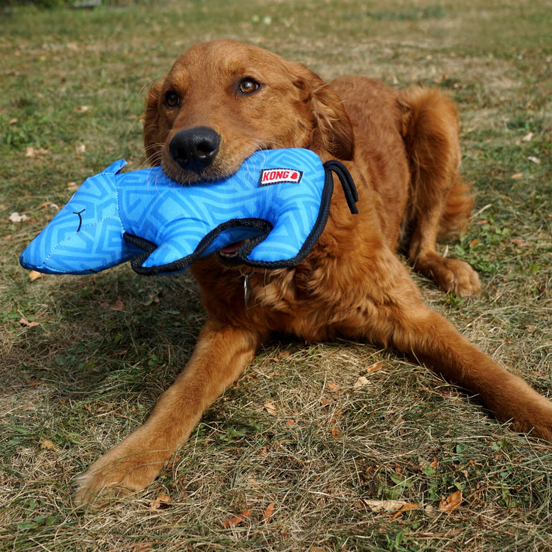 KONG Ballistic Dog Toy Rhino, MD/LG