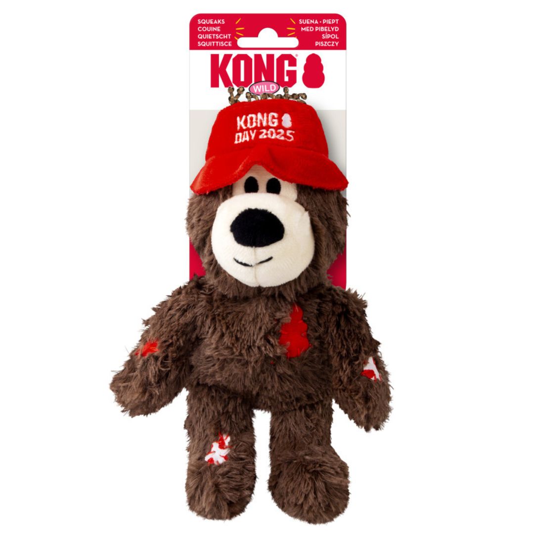 KONG Wild Knots KONG Day 2025 Bear Dog Toy Assorted MD/LG
