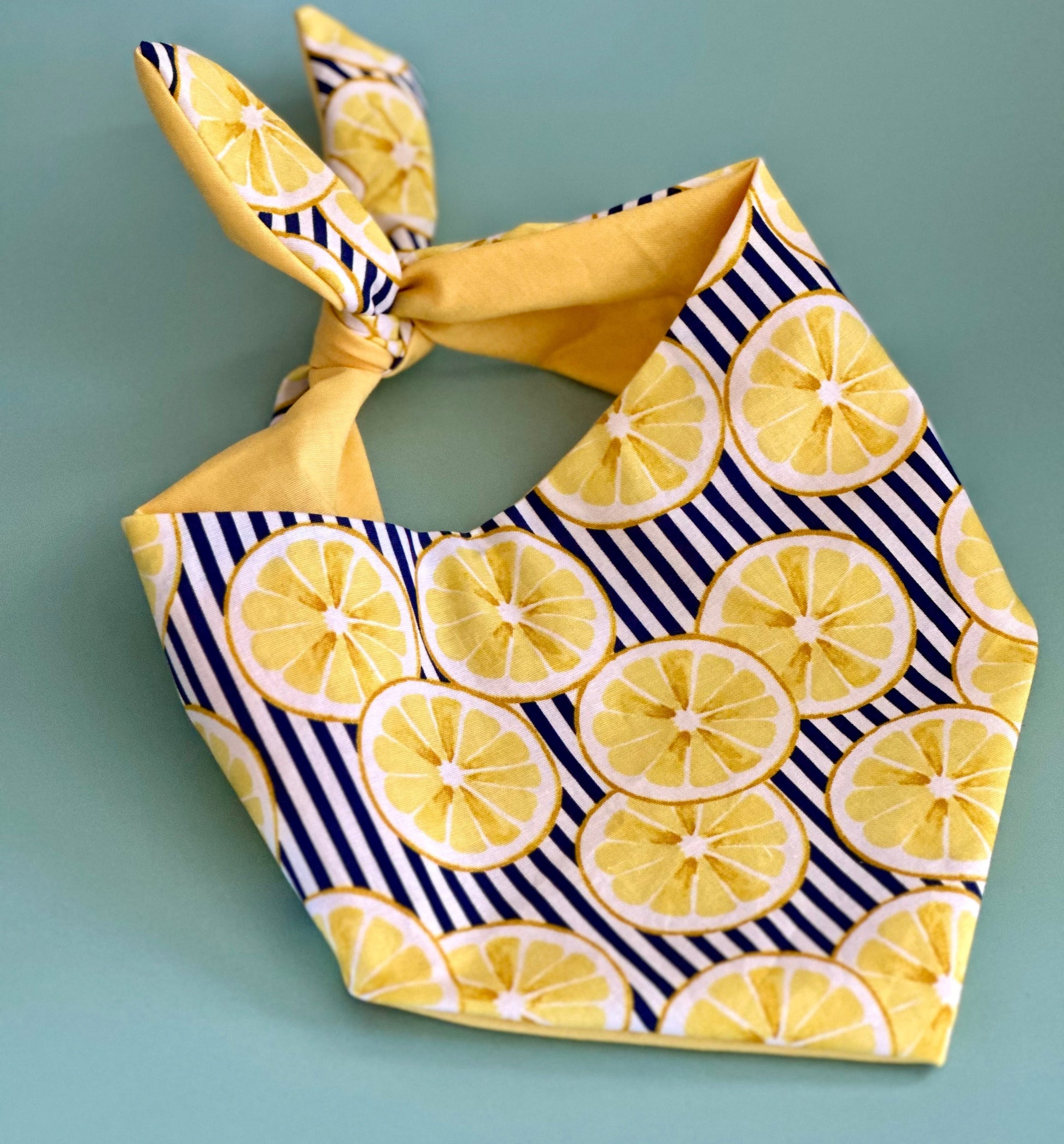 Lemon Dog Bandana Happy Tails Outfitters