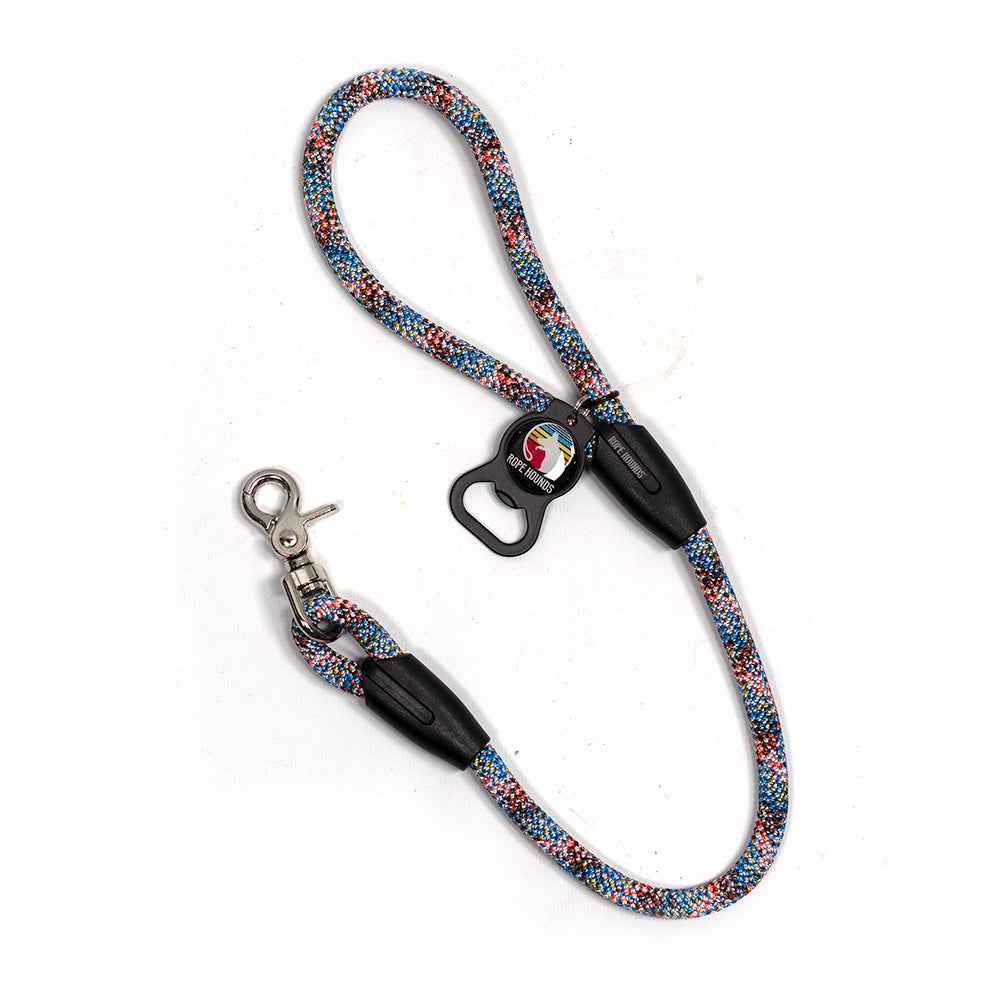 2' Dog Traffic Lead - Multicolor