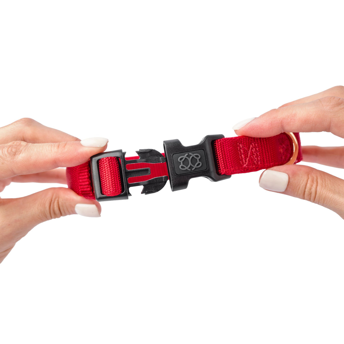 City Collar - Iconic Red by Dogistry™