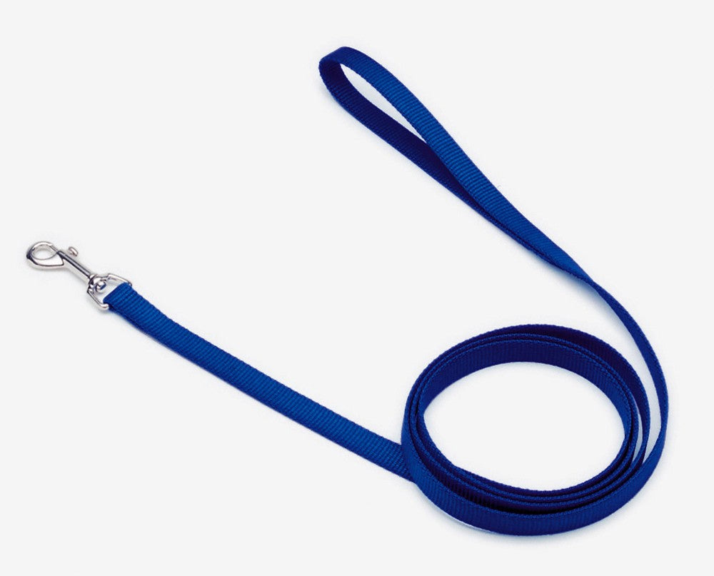 Coastal Single-Ply Nylon Dog Leash Blue 5/8X4ft