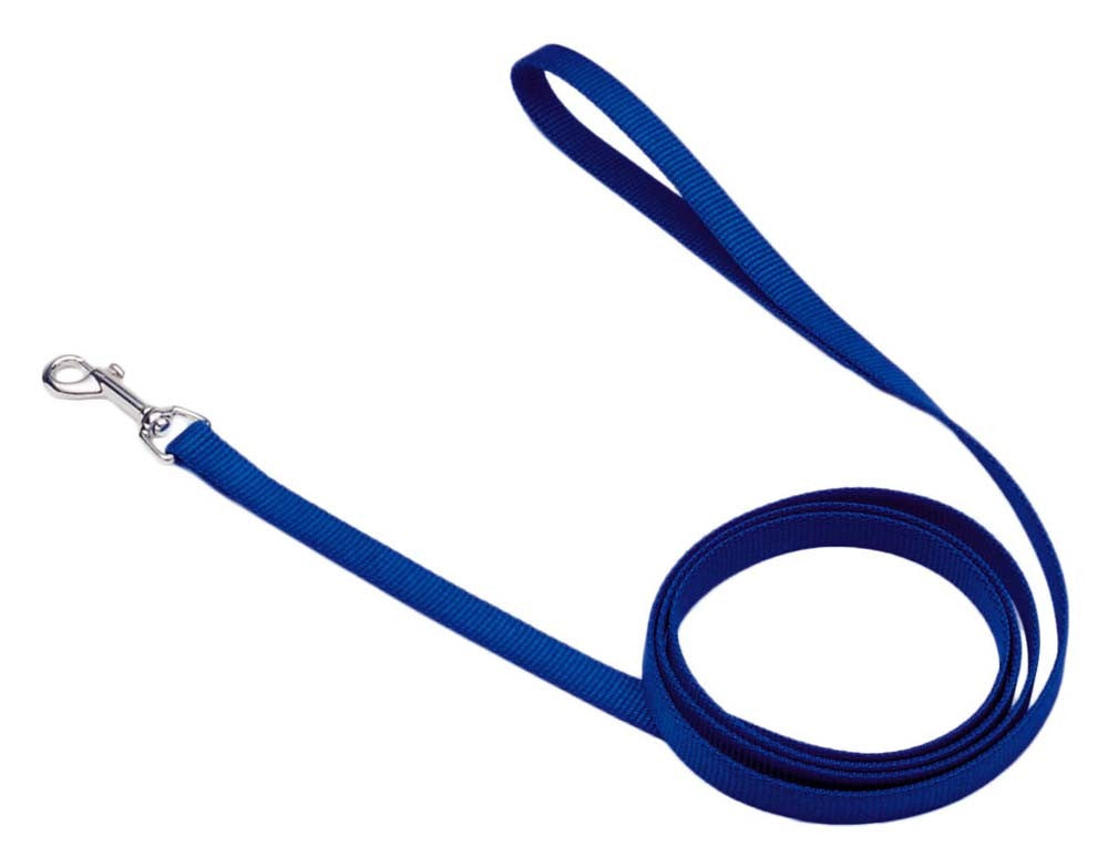 Coastal Single-Ply Nylon Dog Leash Blue 5/8X6ft