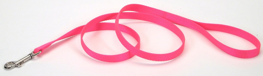 Coastal Single-Ply Nylon Dog Leash Neon Pink 5/8X6ft