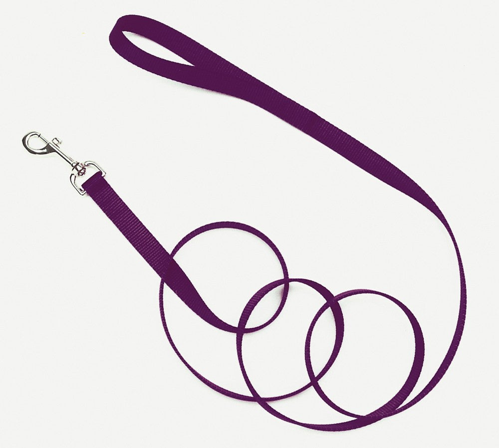 Coastal Single-Ply Nylon Dog Leash Purple 3/4X4ft