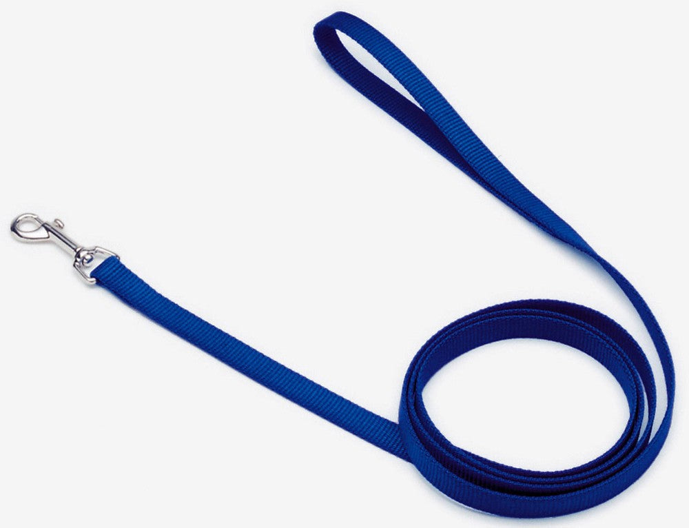 Coastal Single-Ply Nylon Dog Leash Blue 3/4X6ft