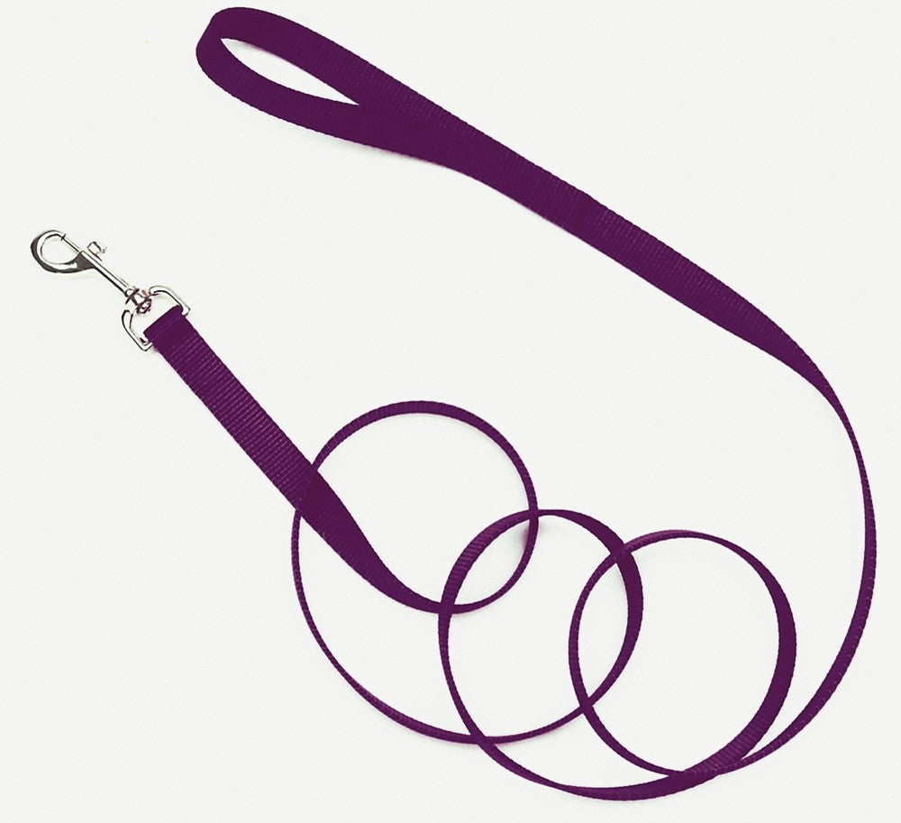 Coastal Single-Ply Nylon Dog Leash Purple 3/4X6ft