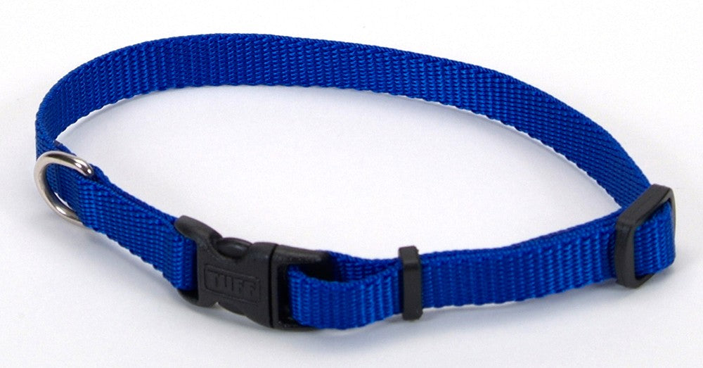 Coastal Adjustable Nylon Dog Collar with Plastic Buckle Blue 3/8X8-12in