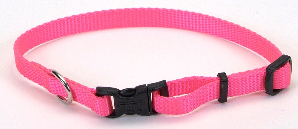 Coastal Adjustable Nylon Dog Collar with Plastic Buckle Neon Pink 3/8X8-12in